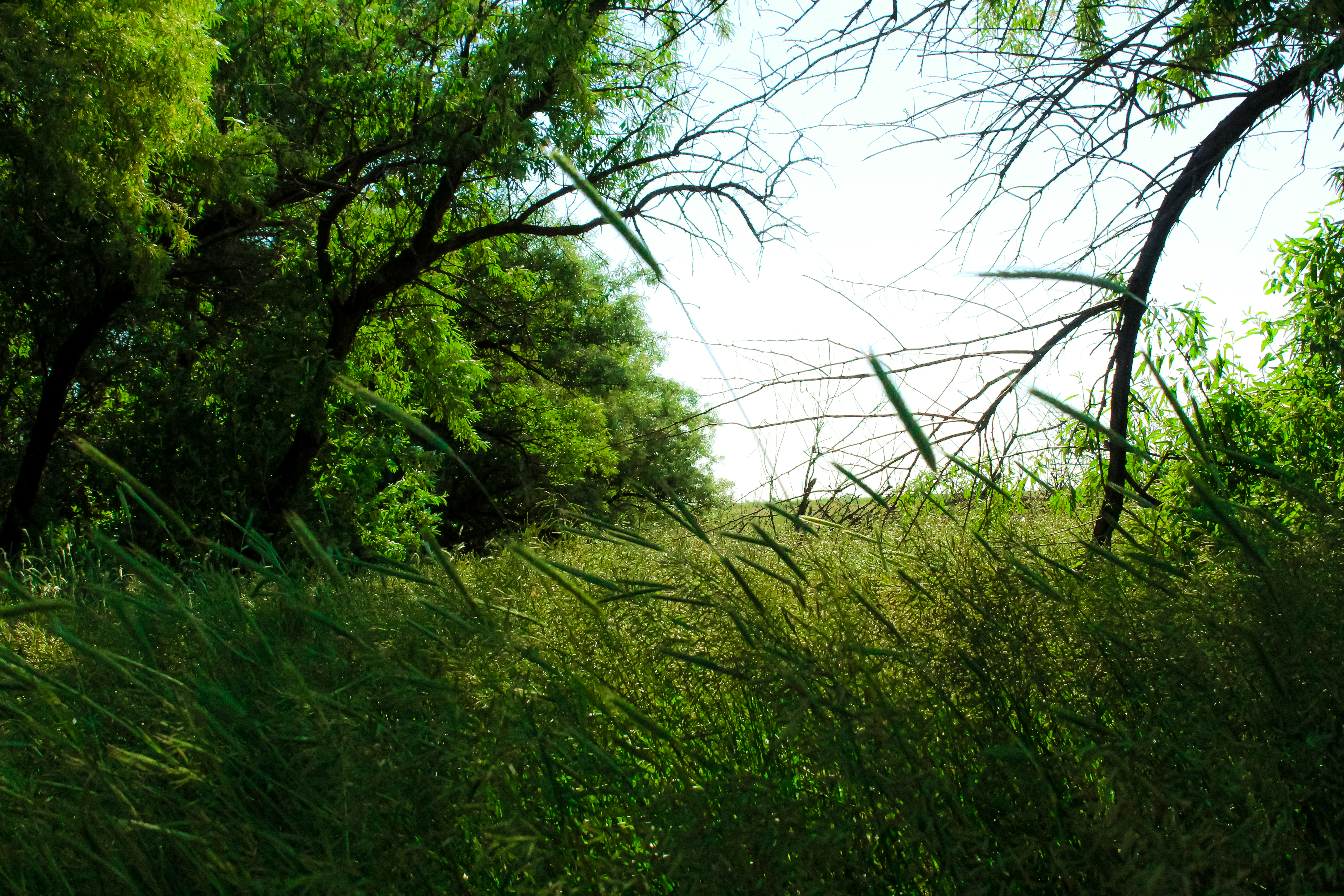 Nature photography portfolio