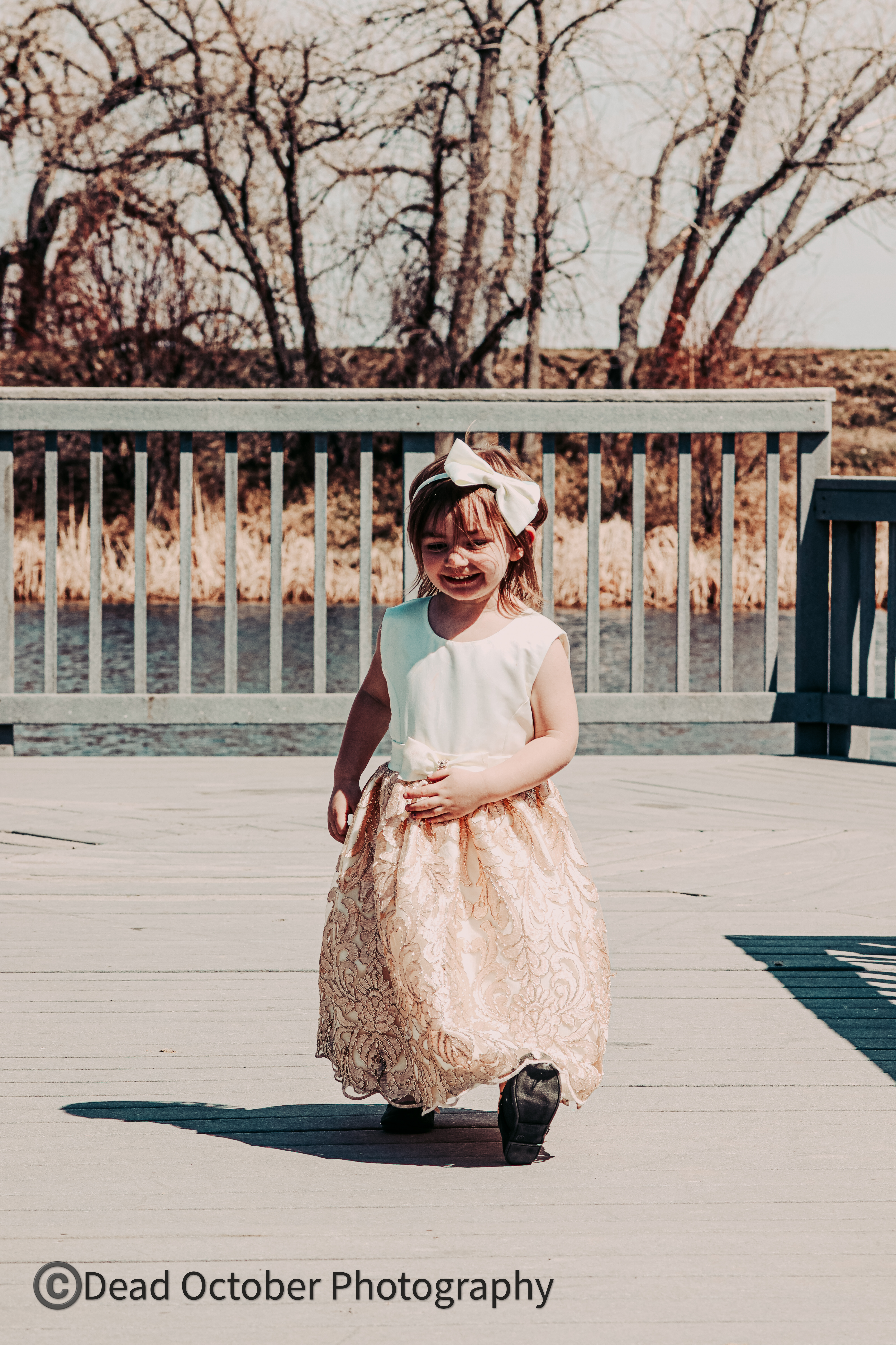 Family photography