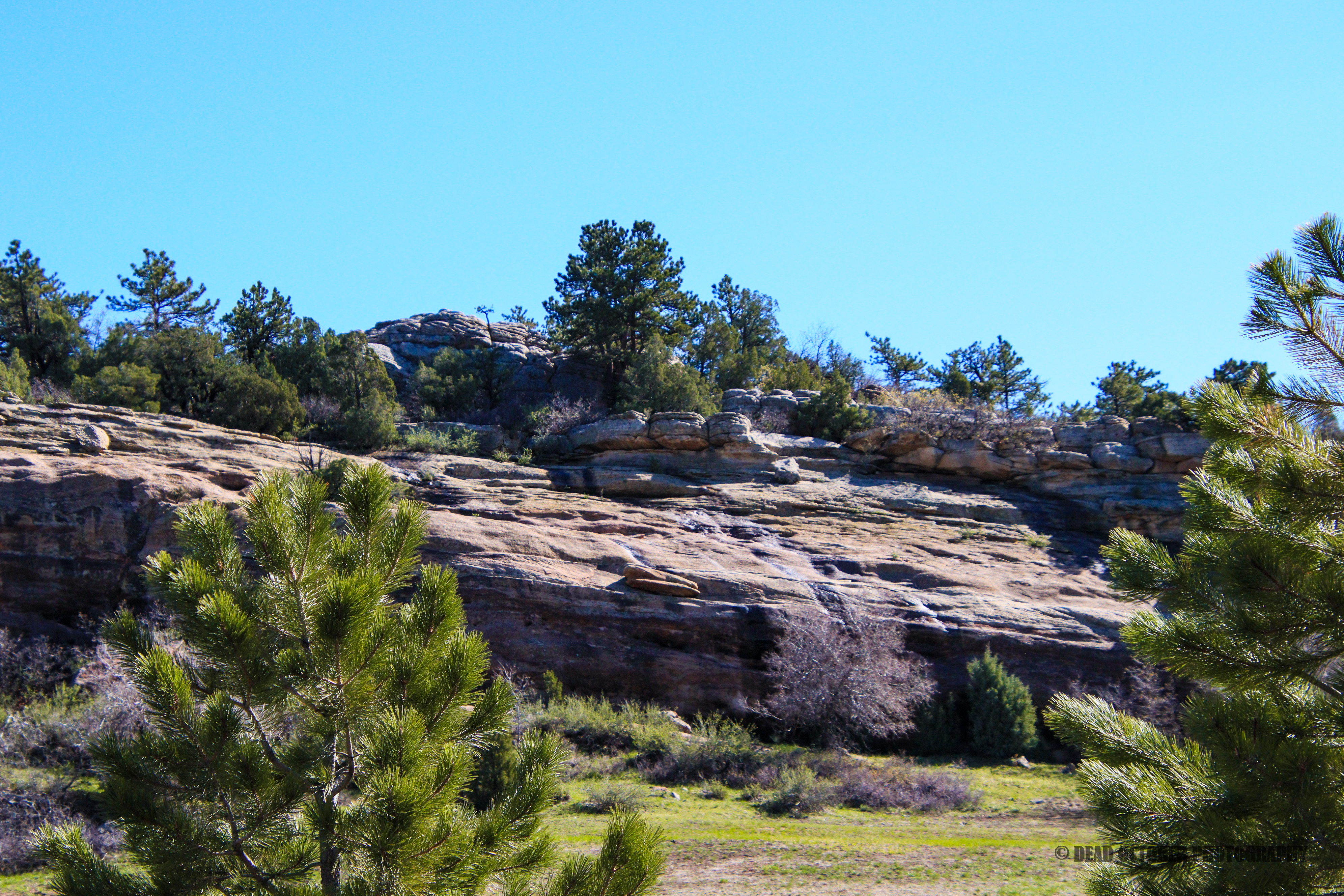 Outdoor photography